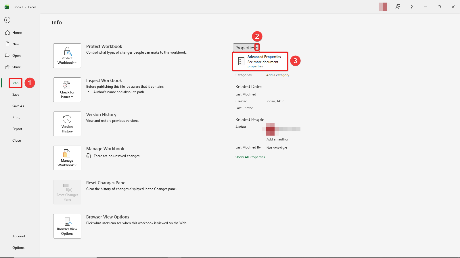 Advanced Properties dialog